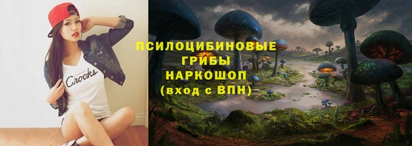 PSILOCYBIN Бородино